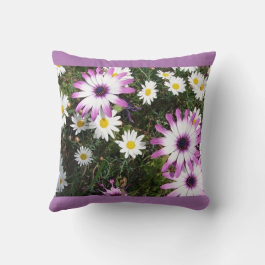 ピンクホワイトデイジーデイジーフラワーフローラクッション クッション (裏面)