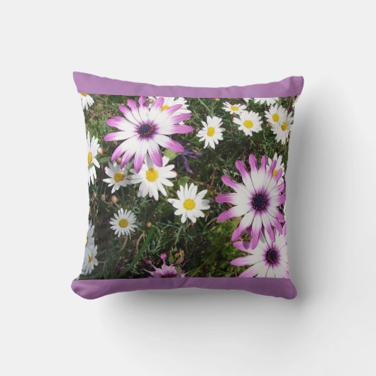 ピンクホワイトデイジーデイジーフラワーフローラクッション クッション (正面)