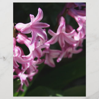 ピンクホワイト春の花