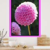 ピンクボール花 ポスター (キッチン)