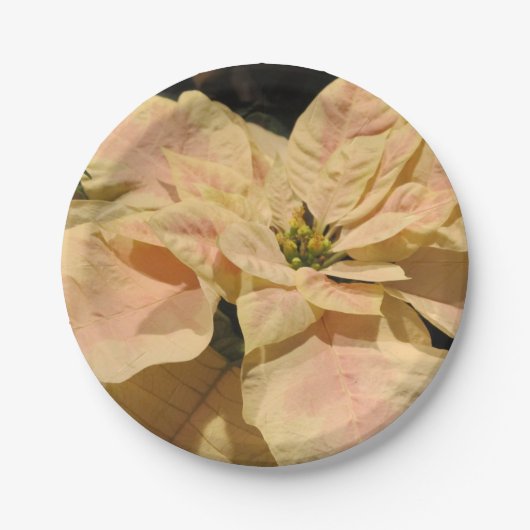 ピンクポインセティアクリスマスパーティー紙プレート ペーパープレート (正面)