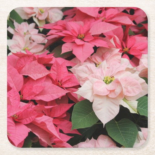 ピンクポインセティアスブーケ スクエアペーパーコースター (正面)