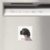 ピンクポインター磁石 マグネット (インサイチュ (食洗機))