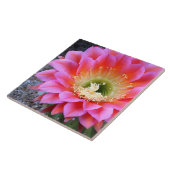 ピンクポップ・アートののサボテン タイル (側面)