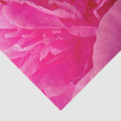 ピンクポップ・アートの色の牡丹の組織の包装紙 薄葉紙 (詳細)