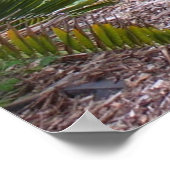 ピンクポピーズガーデン ポスター (角)