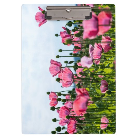 ピンクポピー クリップボード (正面)