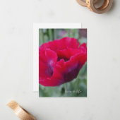 ピンクポピー ノートカード (正面/裏面インサイチュ)