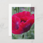 ピンクポピー ノートカード (正面/裏面)