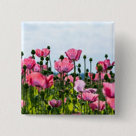 ピンクポピー 缶バッジ (正面)
