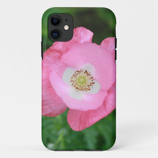 ピンクポピー Case-Mate iPhoneケース (裏面)