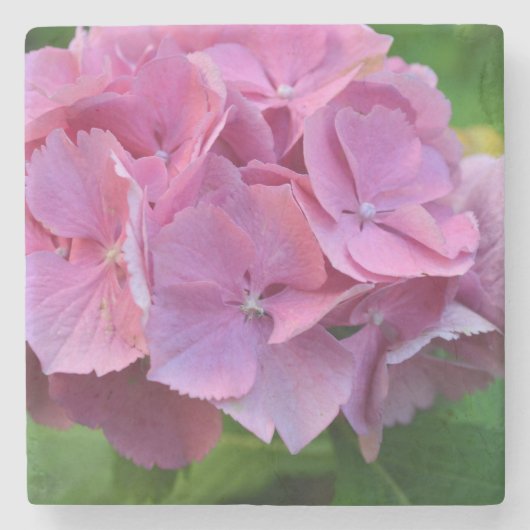ピンクポンポムアジサイ・ホルテンシアフラワー ストーンコースター (正面)