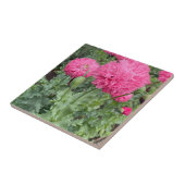 ピンクポンポンポムポピー タイル (側面)