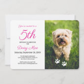 ピンクポープリントペット誕生日写真 招待状 (正面)