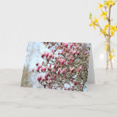 ピンクマグノリアス カード (黄色い花)