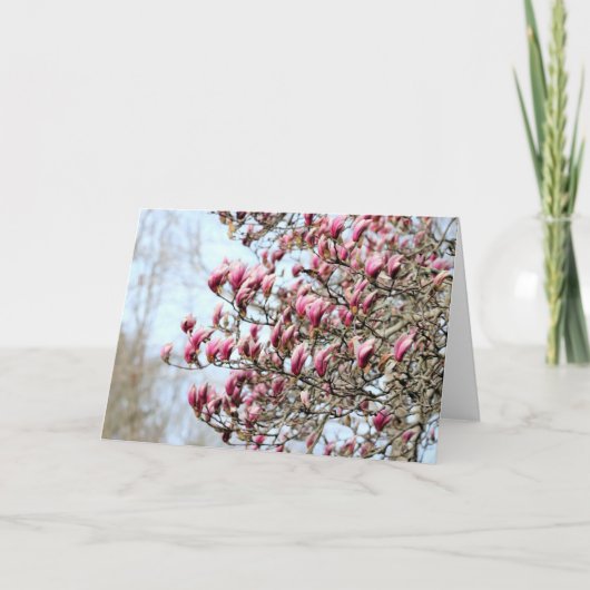 ピンクマグノリアス カード (正面)