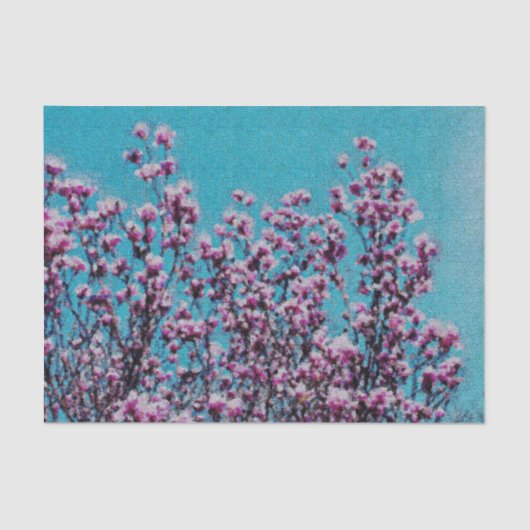 ピンクマグノリア咲く青い空の切り離 薄葉紙 (正面)