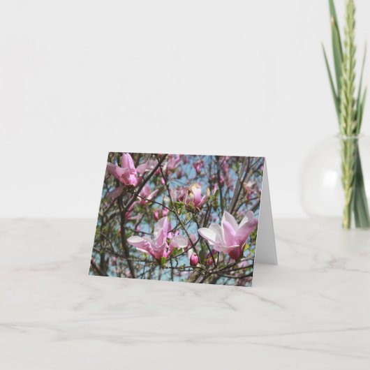 ピンクマグノリア開花 シーズンカード (正面)