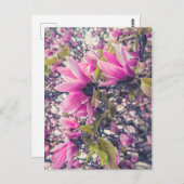 ピンクマグノリア ポストカード (正面/裏面)