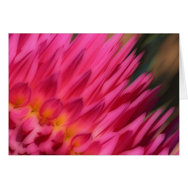 ピンクミイラ (正面横)