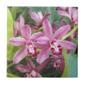 ピンクミニシンビジウムオーキズフローラ タイル (正面)