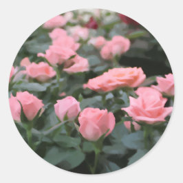 ピンクミニバラデジタル絵を描フラワー ラウンドシール