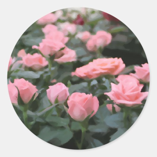 ピンクミニバラデジタル絵を描フラワー ラウンドシール (正面)