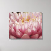 ピンクムームフラワーキャンバスアートプリント キャンバスプリント (正面)