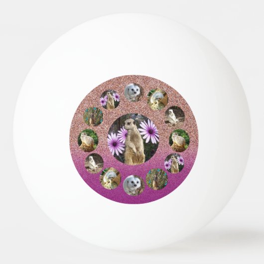 ピンクメルカットサプライズ、ピンポンボール 卓球ボール (正面)