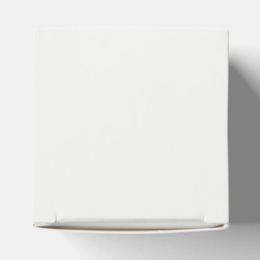 ピンクモダンの小さな野草の赤ちゃんシャワー フェイバーボックス (上部)