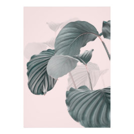 ピンクモダンの美し葉い フォトプリント           
