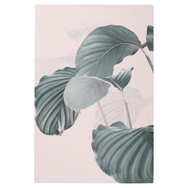 ピンクモダンの美し葉い メタルプリント (正面)