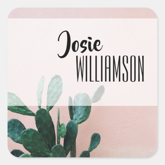 ピンクモダンサボテン スクエアシール (正面)