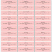 ピンクモダンチューリップ結婚住所 シール (正面)