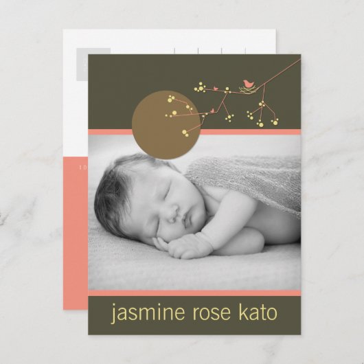 ピンクモダンネスティングバードファミリーシンプルフォト誕生 案内ポストカード (正面/裏面)