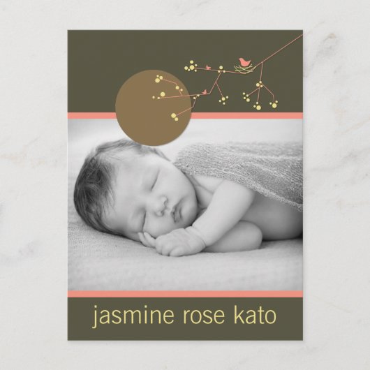 ピンクモダンネスティングバードファミリーシンプルフォト誕生 案内ポストカード (正面)