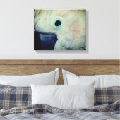 ピンクモルカンCockatoo Parrotクローズアップ キャンバスプリント (インサイチュ (寝室))