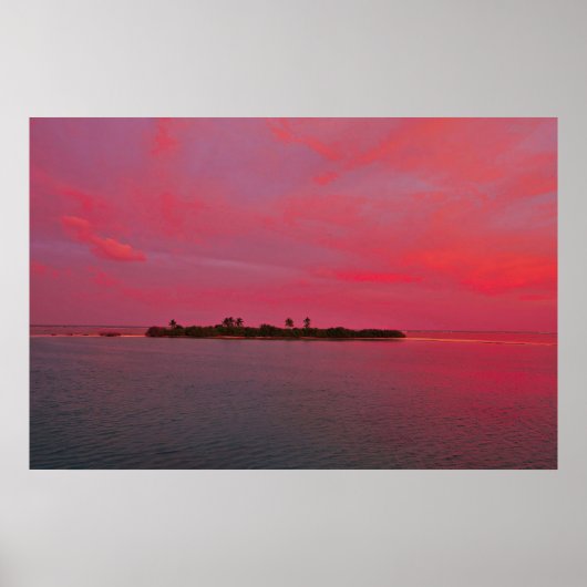ピンクモルディブ ポスター (正面)