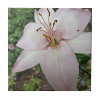 ピンクユリのタイル タイル