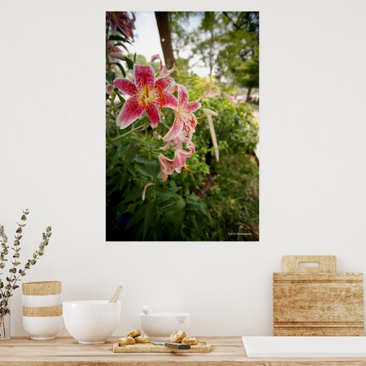 ピンクユリ ポスター (キッチン)