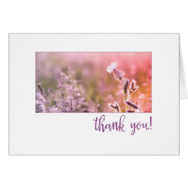 ピンクライトキャンピオンワイルドフラワーありがとう