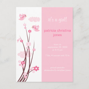 ピンクラブバード春の花ベビー発表 案内ポストカード