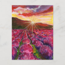 ピンクラベンダーフィールドフランスプロヴァンス