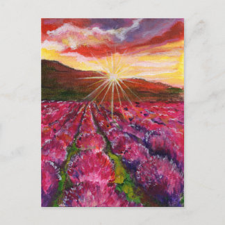 ピンクラベンダーフィールドフランスプロヴァンス シーズンポストカード