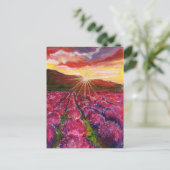 ピンクラベンダーフィールドフランスプロヴァンス シーズンポストカード (スタンド正面)