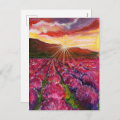 ピンクラベンダーフィールドフランスプロヴァンス シーズンポストカード (正面/裏面)