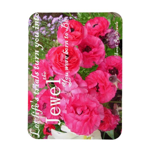 ピンクランヌカルスフローラライフ引用文誕生日磁石 マグネット (縦)