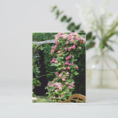 ピンクランブラーバラフランコイズジュランヴィルオーバーペルゴール ポストカード (スタンド正面)