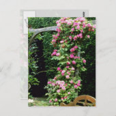 ピンクランブラーバラフランコイズジュランヴィルオーバーペルゴール ポストカード (正面/裏面)