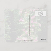 ピンクランブラーバラフランコイズジュランヴィルオーバーペルゴール ポストカード (裏面)